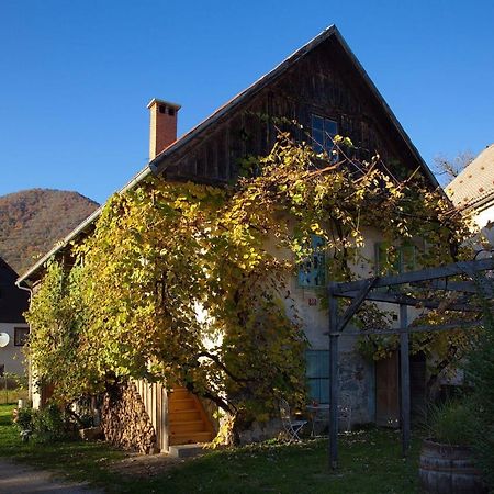 Vintage House Podliparska Guest House Fara Exterior photo