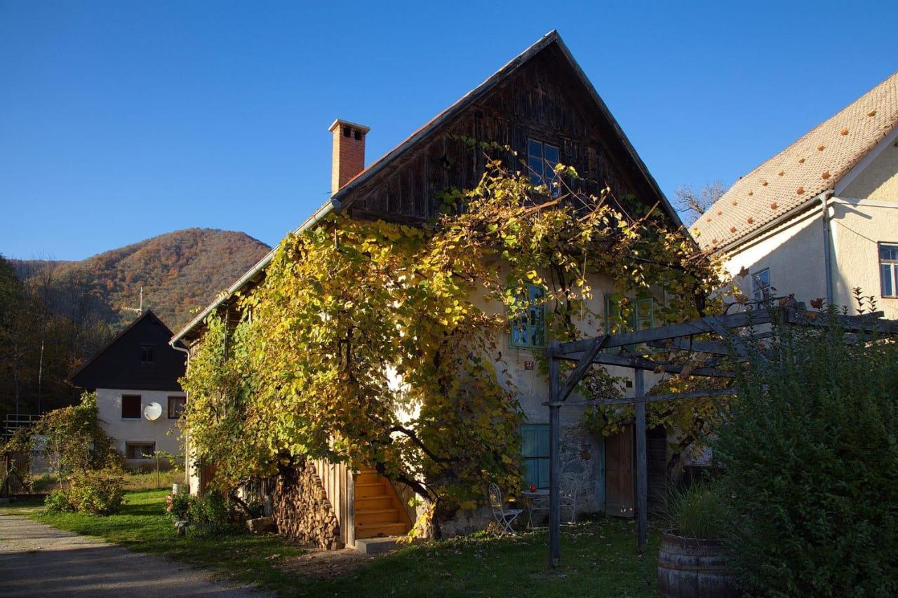 Vintage House Podliparska Guest House Fara Exterior photo