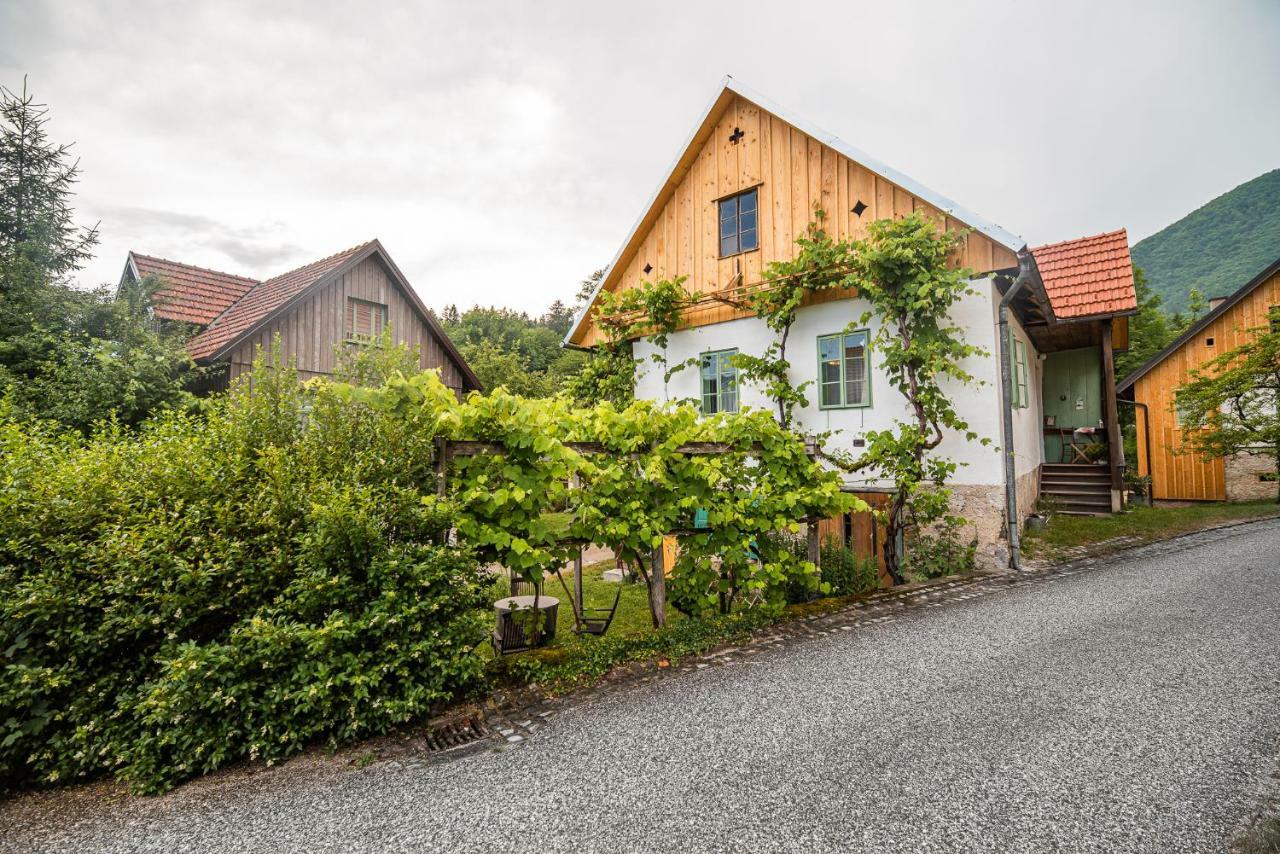 Vintage House Podliparska Guest House Fara Exterior photo